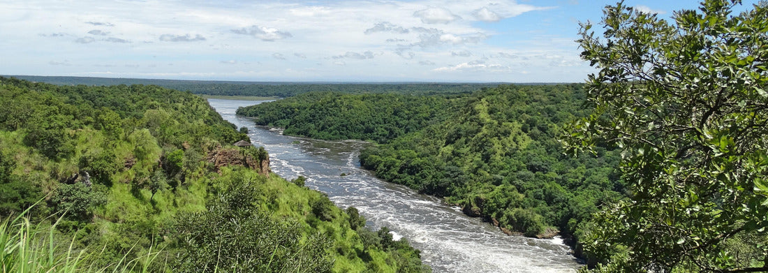 Noah Jigsaw Puzzle Lake Albert (Uganda) panorama 1000 pieces