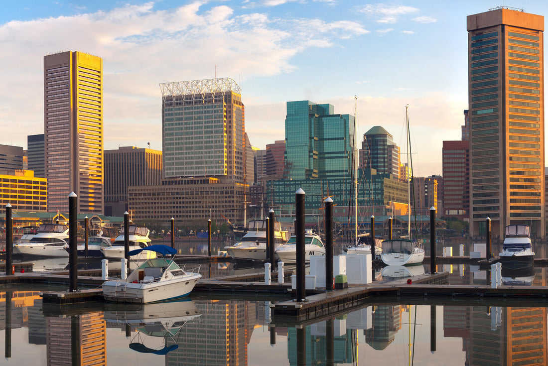 Noah Jigsaw Puzzle Downtown city skyline, Inner Harbor and marina, Baltimore, Maryland, USA 2000 pieces