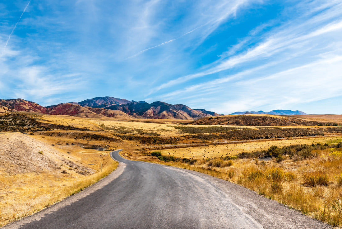 Noah Jigsaw Puzzle Indianapolis, Indiana, USA downtown cityscape and Monument Circle at dawn 2000 pieces