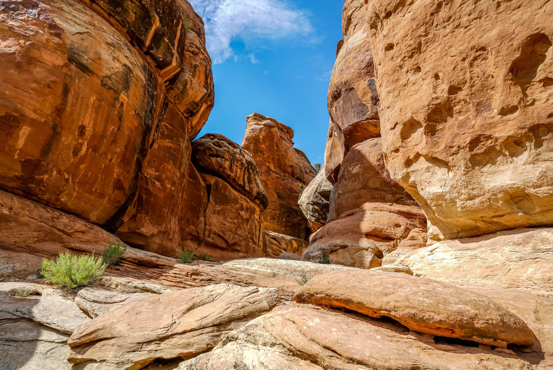 Noah Jigsaw Puzzle This is Hell's Kitchen in Colorado National Monument Park near Grand Junction 2000 pieces