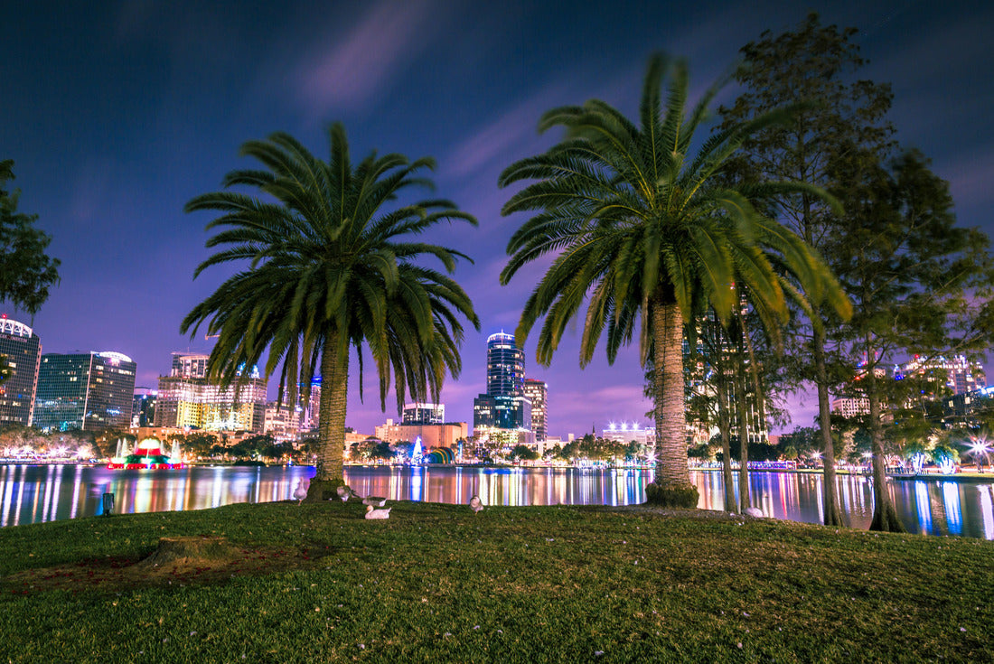 Noah Jigsaw Puzzle Night at Lake Eola Orlando, Florida. Long Exposure photography in a beautiful night 2000 pieces