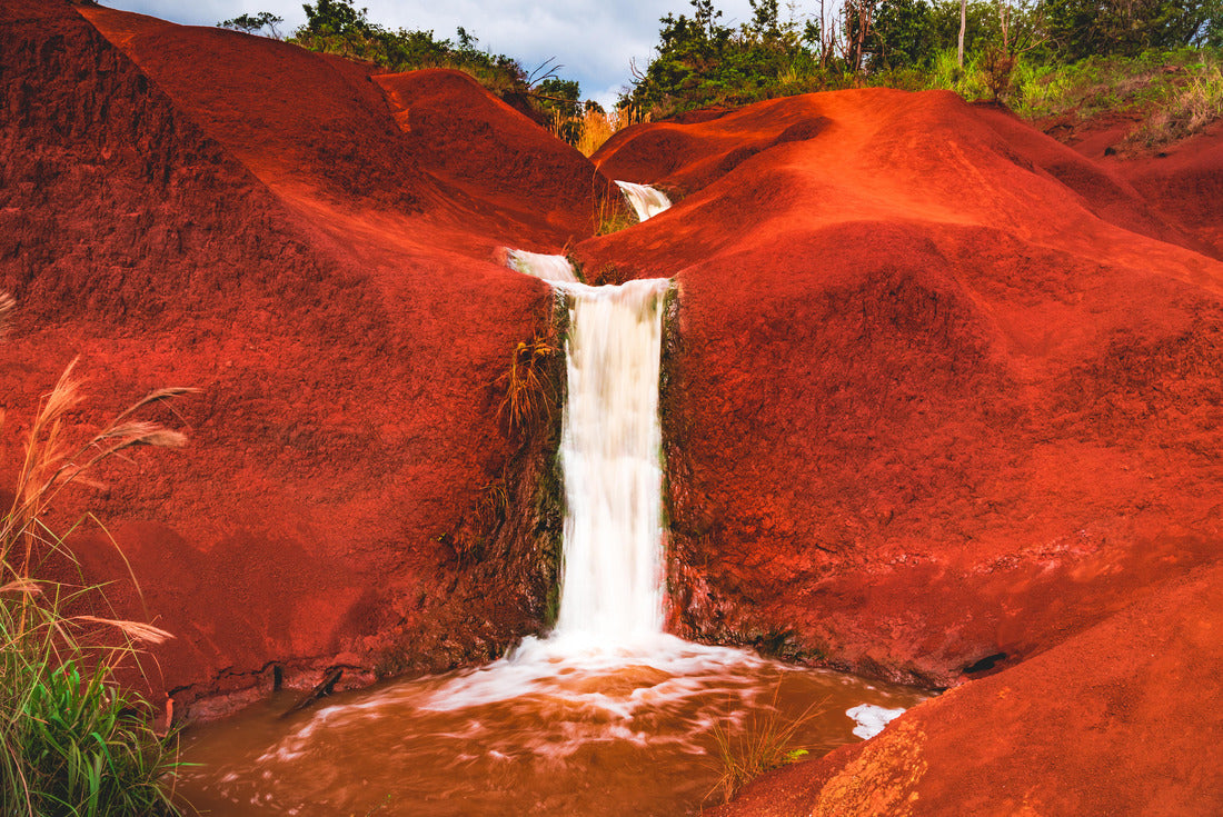 Noah Jigsaw Puzzle Chicago skylines buildings along the green coloring Chicago River at St. Patrick's Day Festival in Chicago Downtown IL USA 2000 pieces