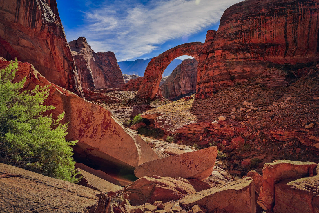 Noah Jigsaw Puzzle Beautiful rock formation in Glen Canyon near Lake Powell, Utah. Rocks formed unbelievable bridge called Rainbow Bridge National Monument 2000 pieces