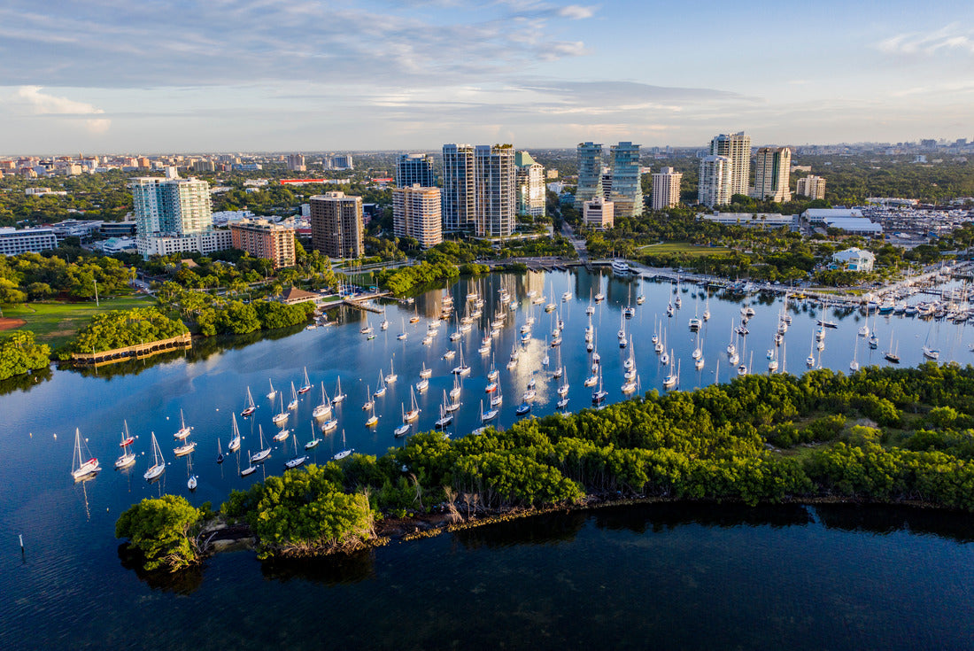 Noah Jigsaw Puzzle Coconut Grove Miami Marina Cityscape 2000 pieces