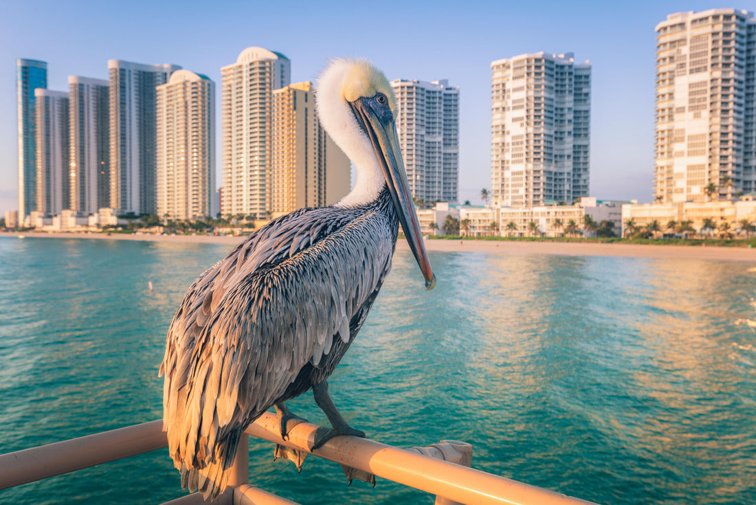 Noah Jigsaw Puzzle Aerial lift bridge in Duluth, Minnesota 2000 pieces