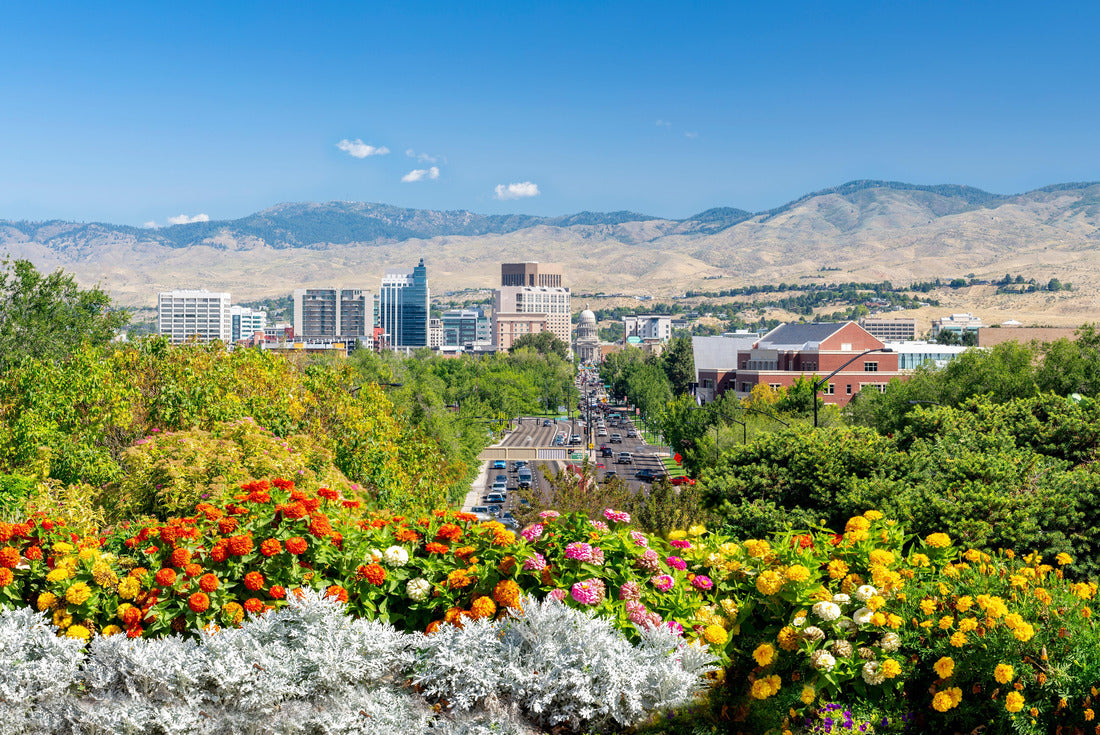 Noah Jigsaw Puzzle Colorful flowers and city of Boise Idaho 2000 pieces