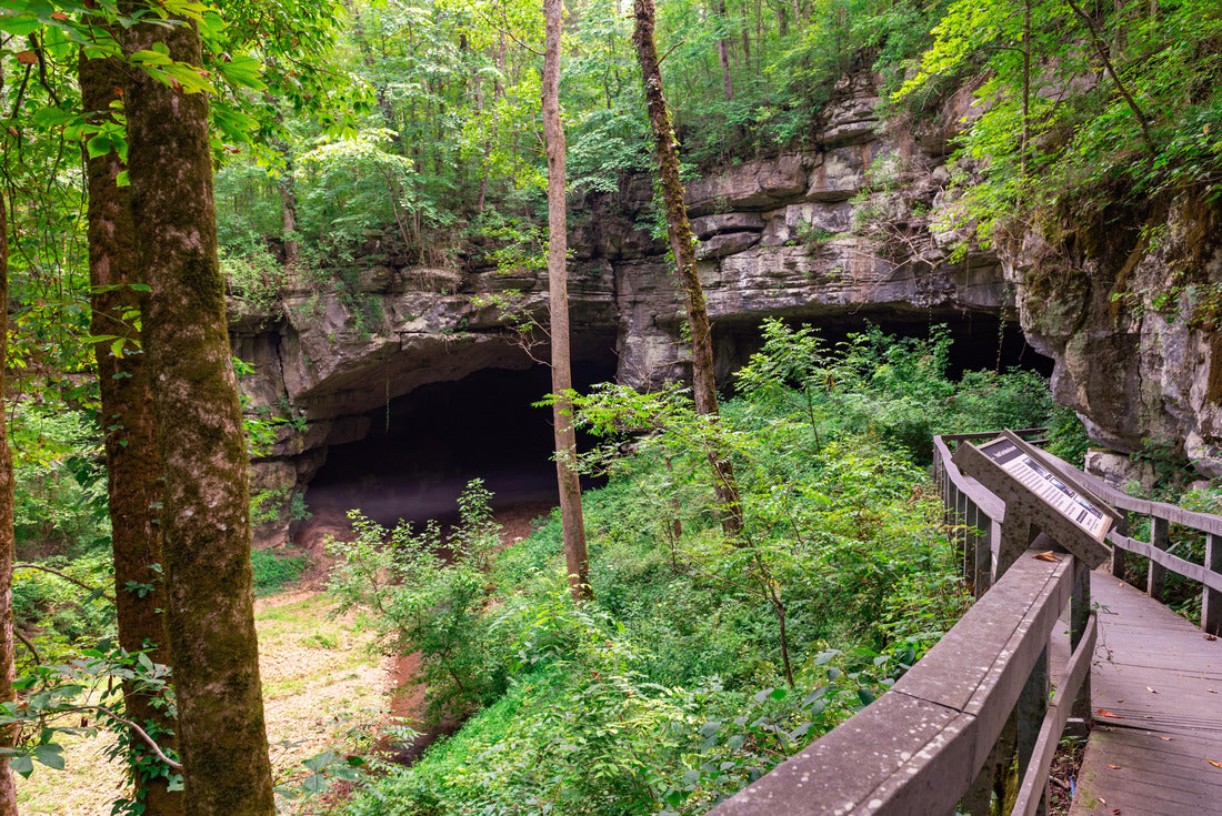 Noah Jigsaw Puzzle Russell Cave National Monument in Alabama 2000 pieces