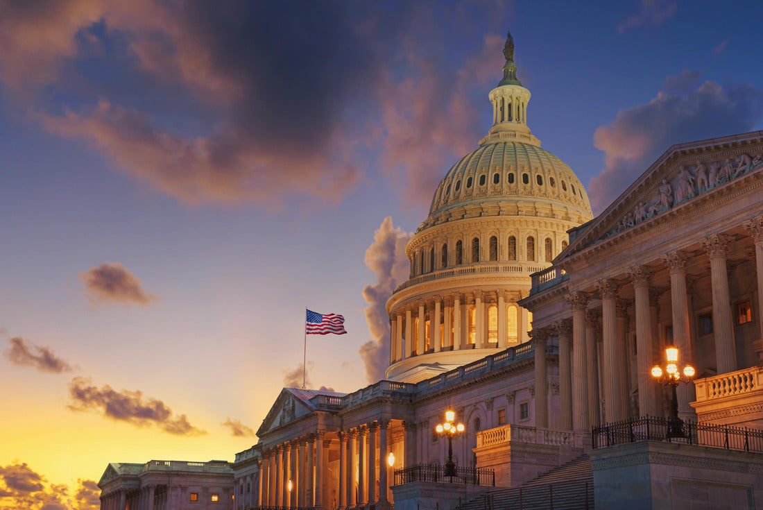 Noah Jigsaw Puzzle US Capitol building at sunset, Washington DC, USA 2000 pieces