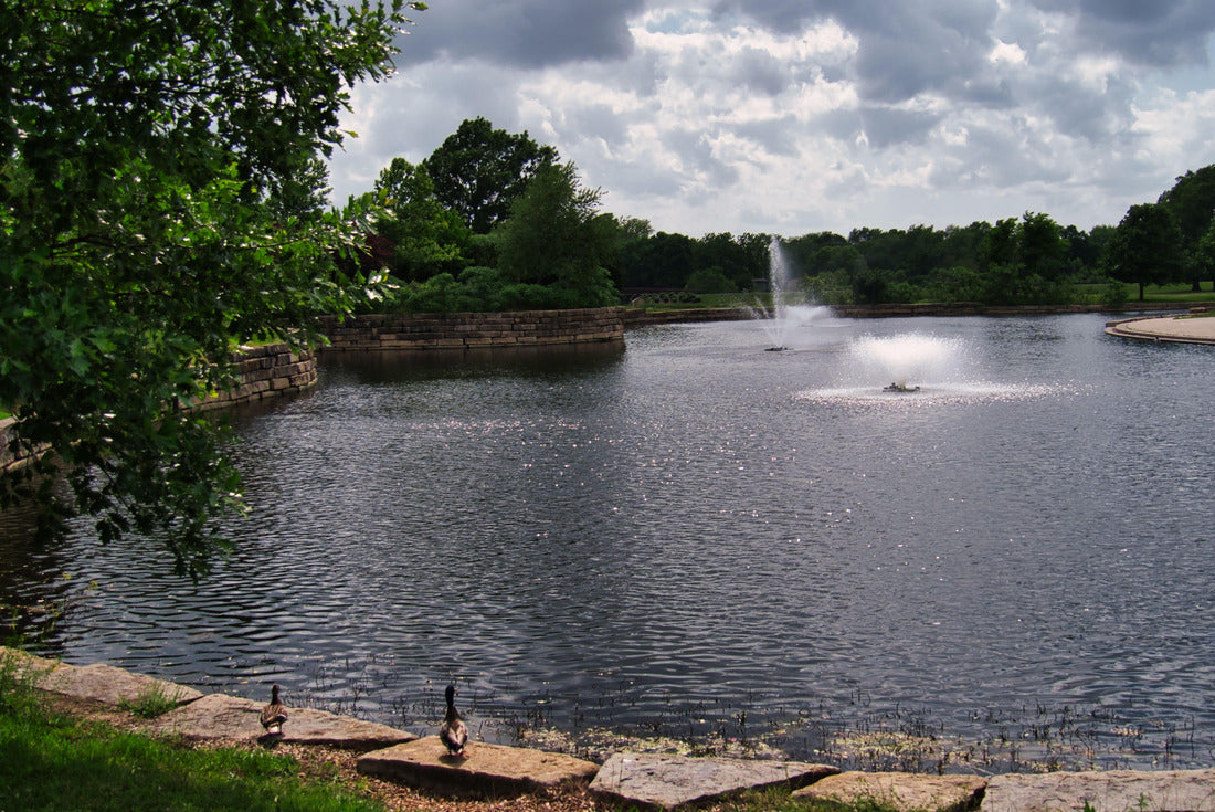 Noah Jigsaw Puzzle The Pond at Olathe Community Center in Olathe, Kansas 2000 pieces