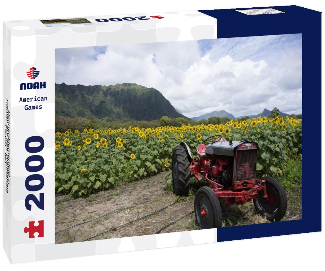 Noah Jigsaw Puzzle Sonnenblumenfeld in Hawaii auf den Waimanalo-Landhöfen 2000 pieces
