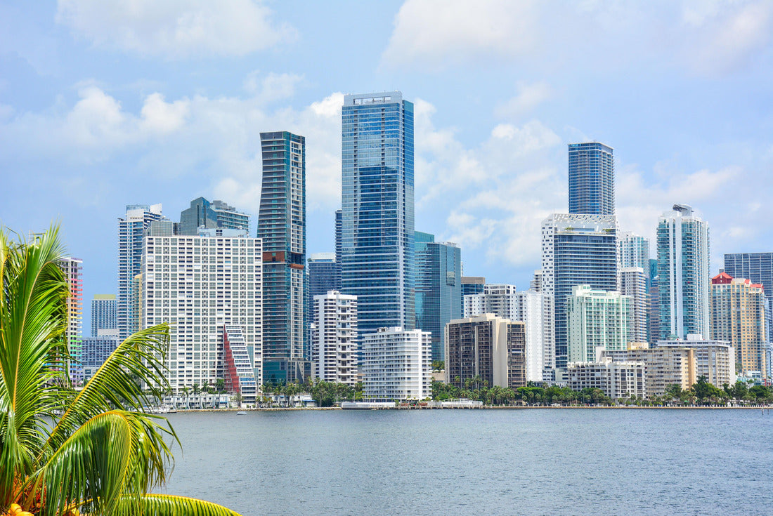 Noah Jigsaw Puzzle Downtown Miami skyline along waterfront in South Florida 2000 pieces
