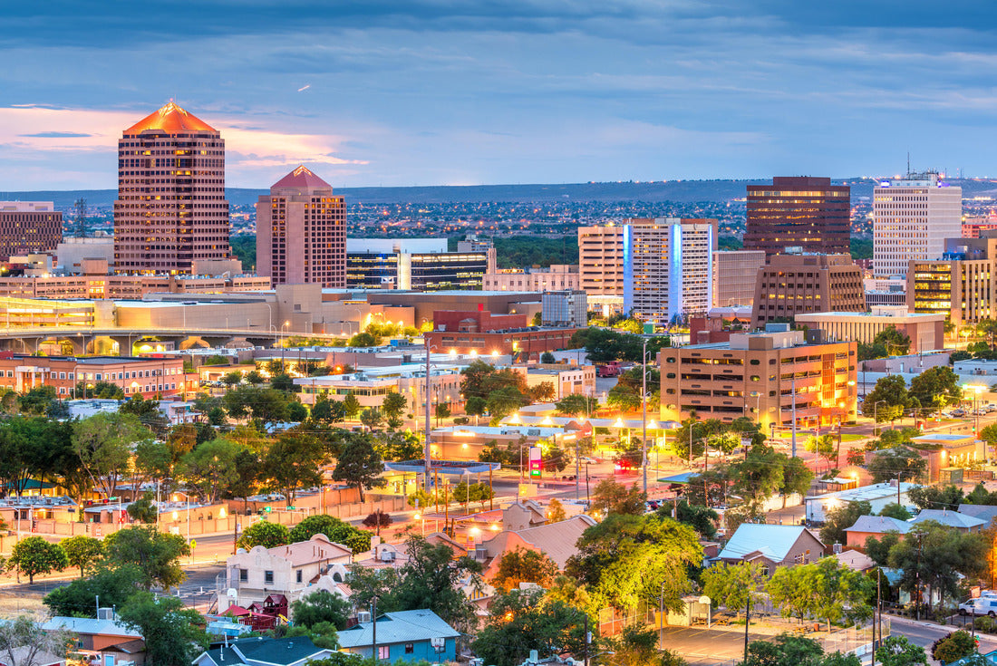 Noah Jigsaw Puzzle Augusta, Georgia, USA downtown city skyline in the daytime 2000 pieces