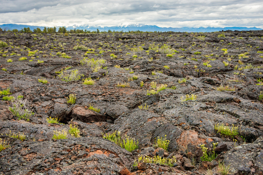 Noah Jigsaw Puzzle Craters of the Moon National Monument and Preserve in Idaho 2000 pieces