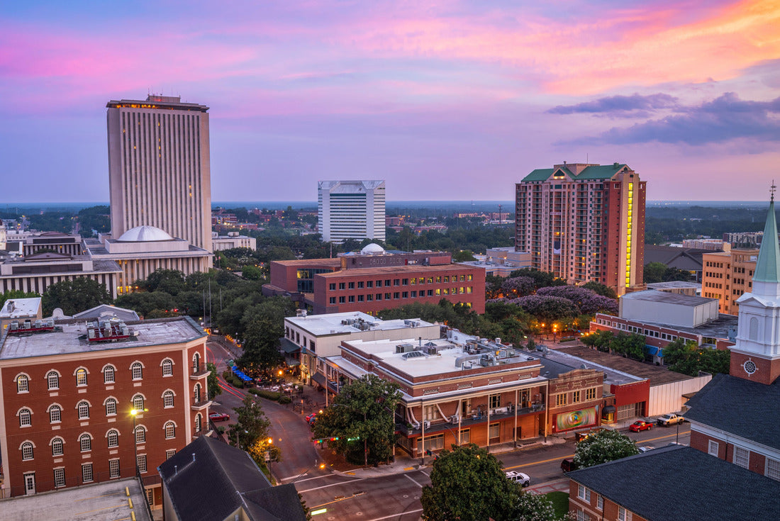 Noah Jigsaw Puzzle Tallahassee, Florida, USA downtown skyline from above at dusk 2000 pieces
