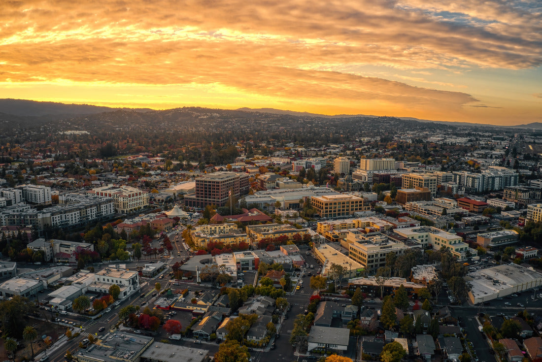 Noah Jigsaw Puzzle Aerial View of the Bay Area Suburb of Redwood City, California 2000 pieces