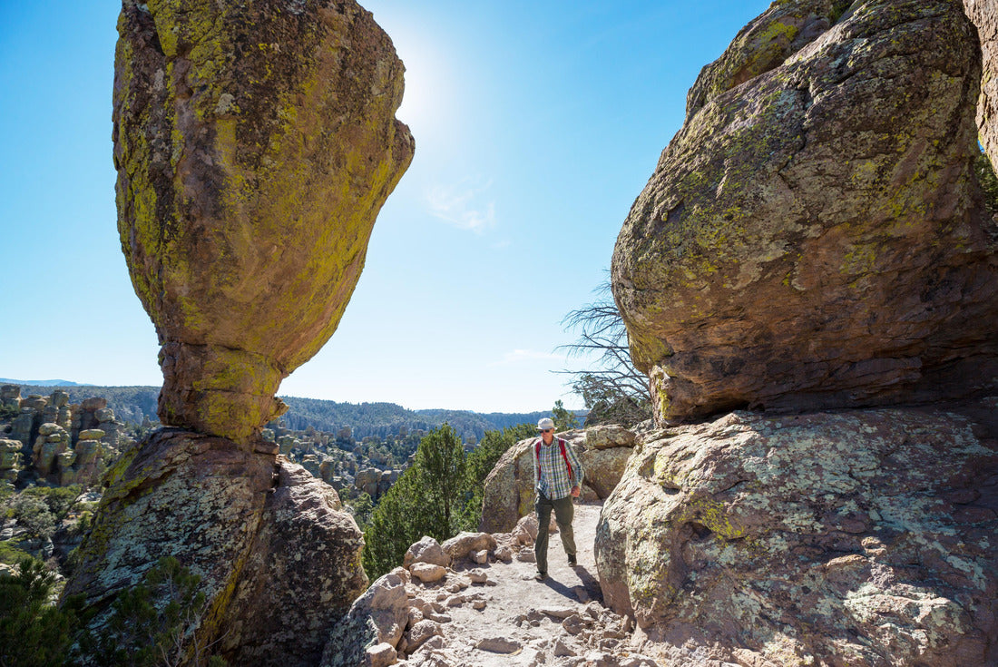 Noah Jigsaw Puzzle Unusual landscape at the Chiricahua National Monument, Arizona, USA 2000 pieces