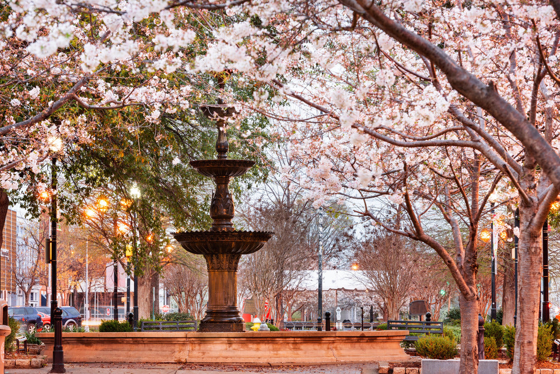 Noah Jigsaw Puzzle Macon, Georgia, USA downtown square in spring season with the fountain 2000 pieces