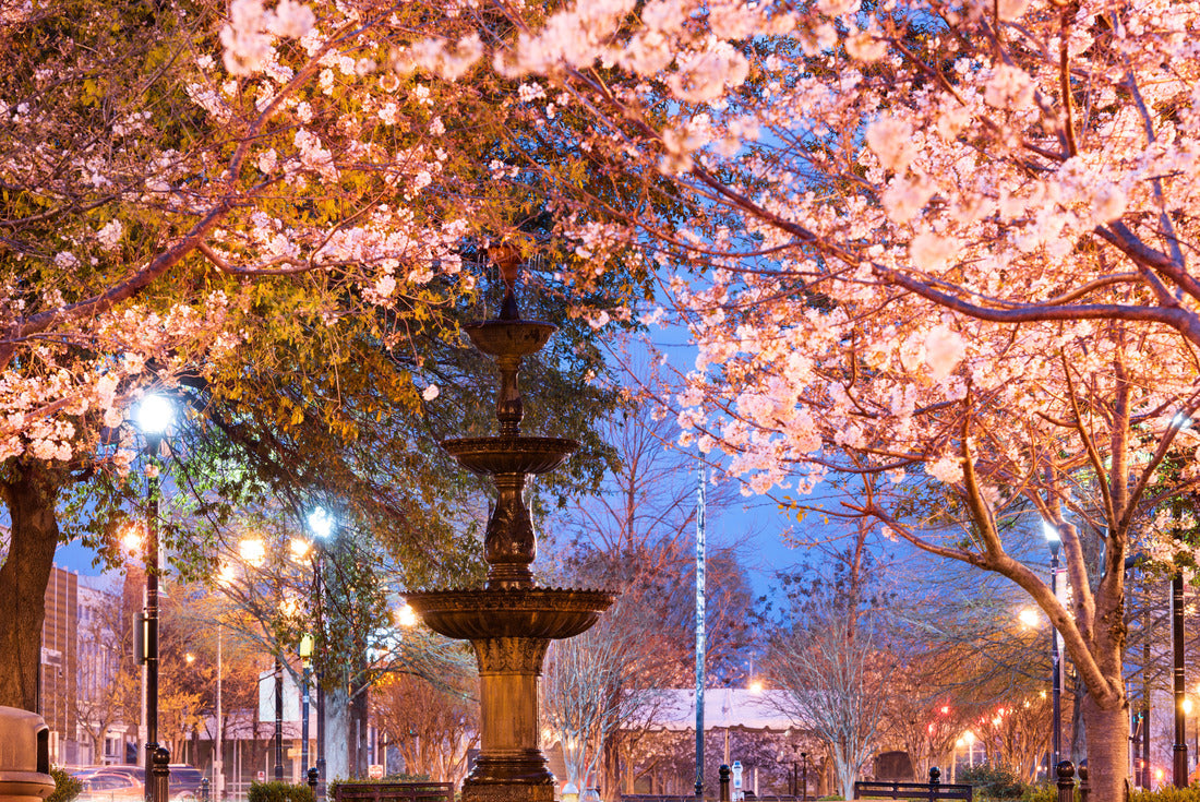 Noah Jigsaw Puzzle Macon, Georgia, USA downtown square in spring season with the fountain 2000 pieces