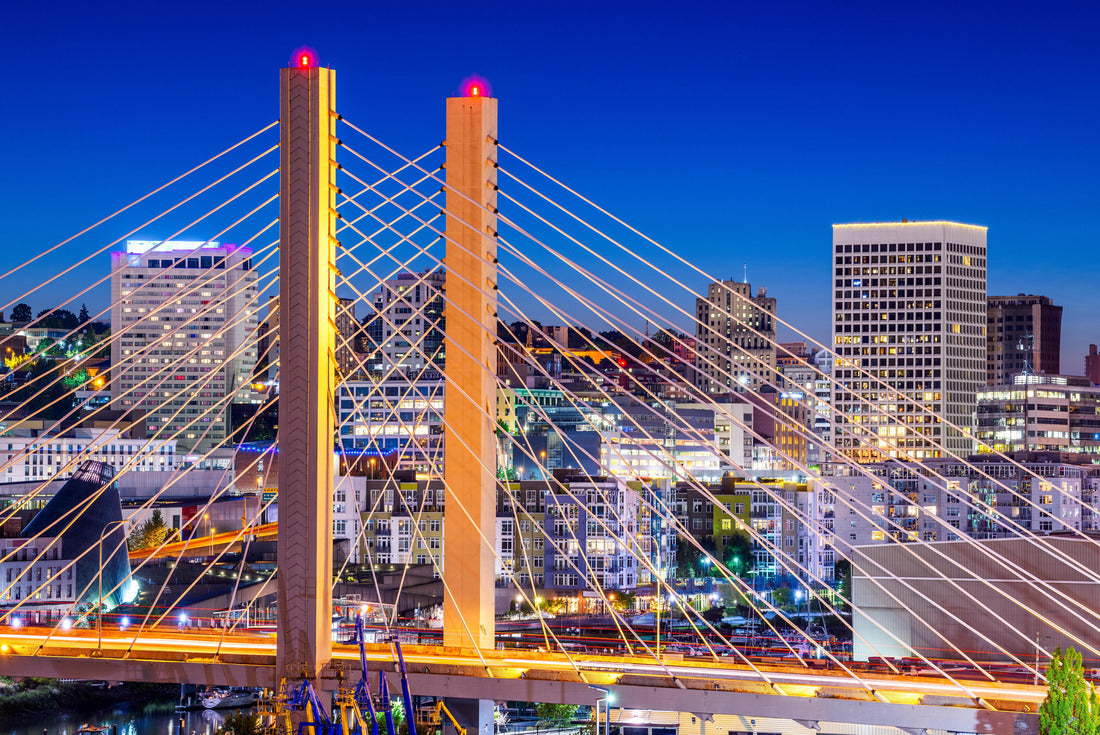 Noah Jigsaw Puzzle Tacoma, Washington, USA cityscape with East 21st Street Bridge at night 2000 pieces