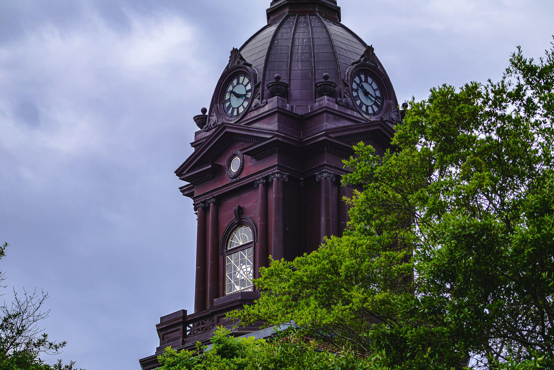 Noah Jigsaw Puzzle Der Uhrturm des Newnan, Georgia - Gerichtsgebäude hinter Bäumen mit blauem Himmel 2000 pieces