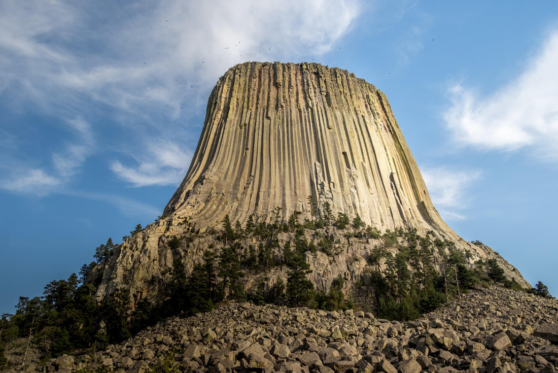 Noah Jigsaw Puzzle Day time aerial view of the dense residential core of Garden Grove, California, USA 2000 pieces