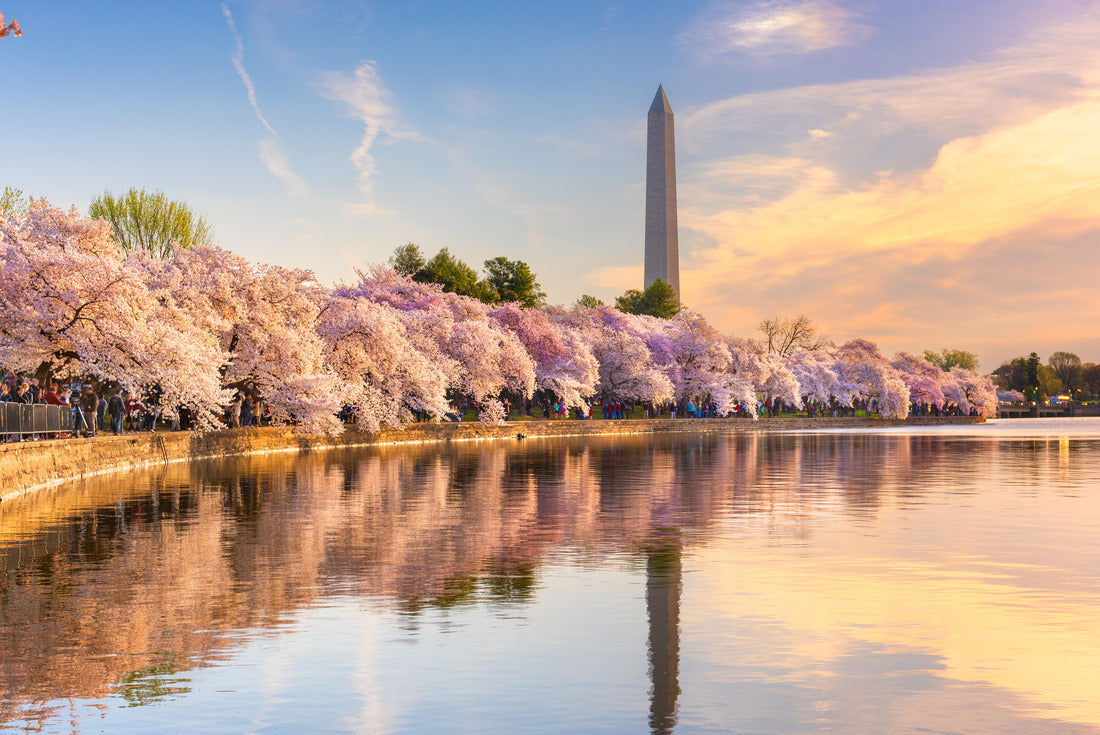 Noah Jigsaw Puzzle Rosslyn, Arlington, Virginia, USA downtown city skyline at dusk on the Potomac River 2000 pieces