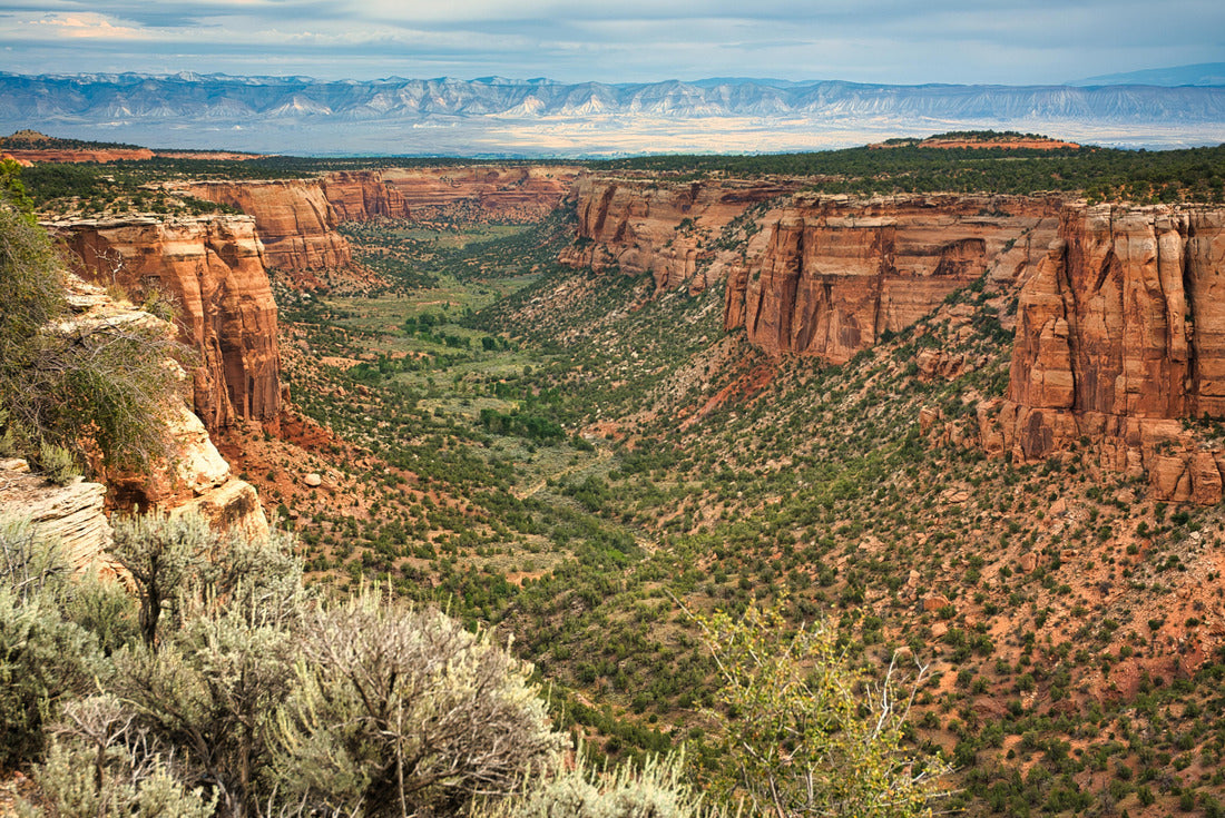 Noah Jigsaw Puzzle Colorado National Monument preserves one of the grand landscapes of the American West 2000 pieces