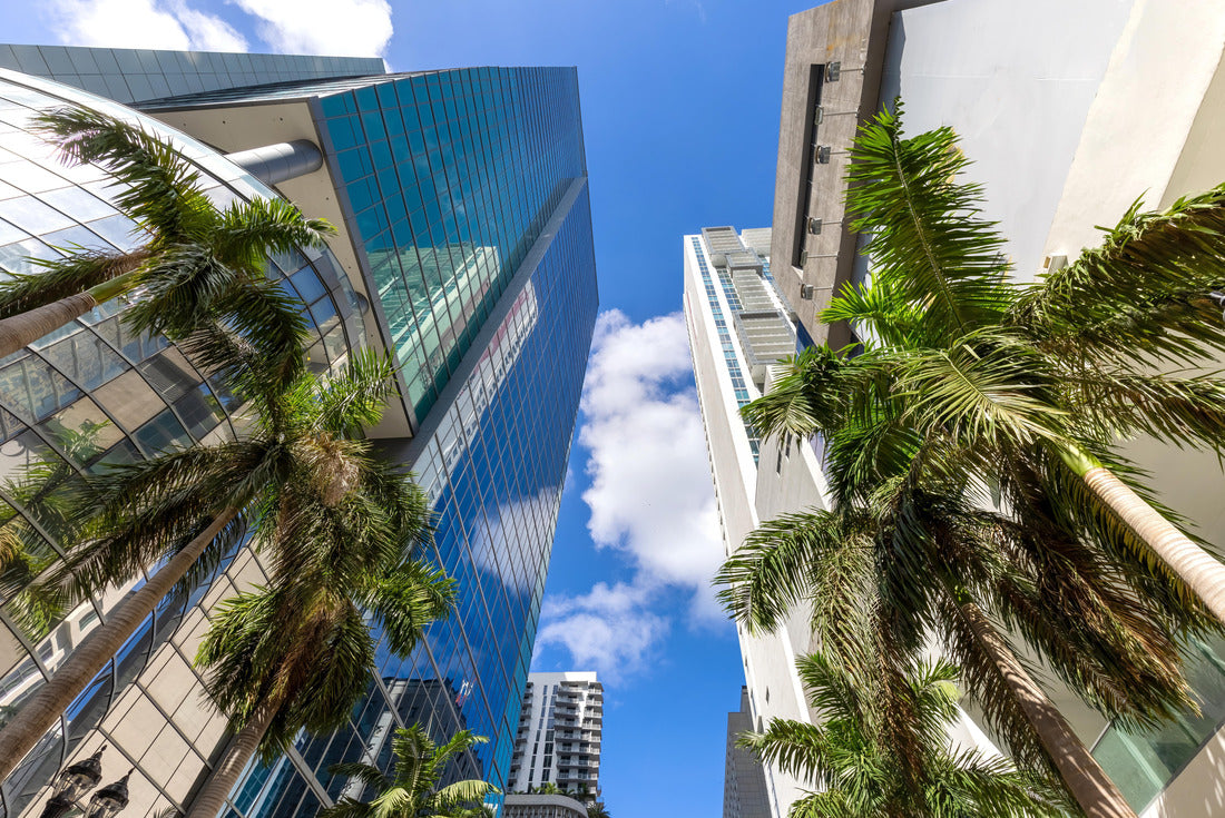 Noah Jigsaw Puzzle Miami downtown financial skyline and business shopping center near Biscayne bay and South beach 2000 pieces