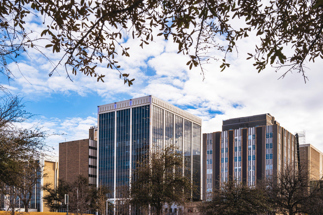 Noah Jigsaw Puzzle Midland Texas city skyline and downtown skyscrapers with dramatic cloudy blue sky and tree branches 2000 pieces