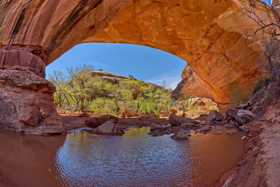 Noah Jigsaw Puzzle The Kachina Bridge at Natural Bridges National Monument Utah. It is named for the Hopi Kachina dancers 2000 pieces