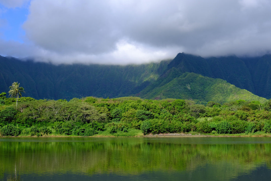 Noah Jigsaw Puzzle Tewksbury Congregational Church aerial view in historic town center in fall, Tewksbury, Massachusetts, MA 2000 pieces