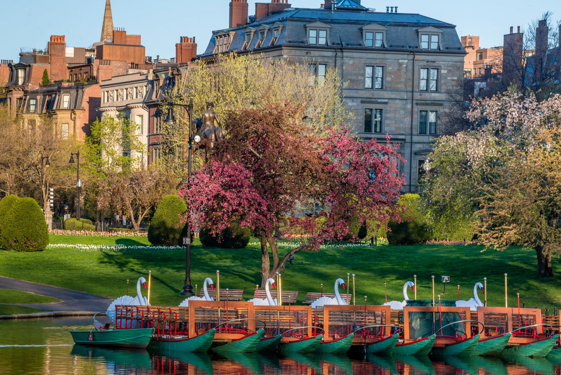 Noah Jigsaw Puzzle Colorful spring scene of trees blossoming with swan boats in the foreground at the Boston Public Garden in Boston, Massachusetts 2000 pieces