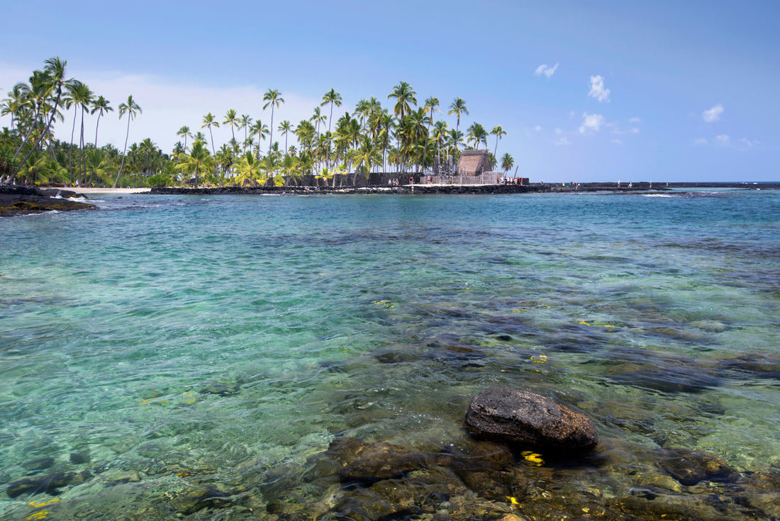 Noah Jigsaw Puzzle Daytime scene of canal running through waterfront district of Old Town Scottsdale, Arizona USA with condo housing, retail and restaurants 2000 pieces