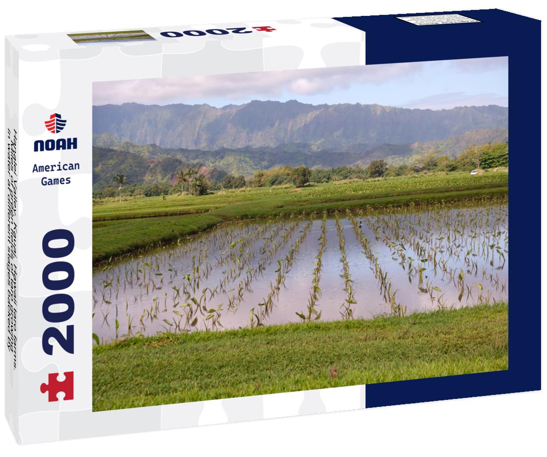 Noah Jigsaw Puzzle Hanalei Valley, Kauai, Hawaii taro farms. Miles of green fields of taro growing in water at different stages backed by lush mountains and blue cloud sky 2000 pieces