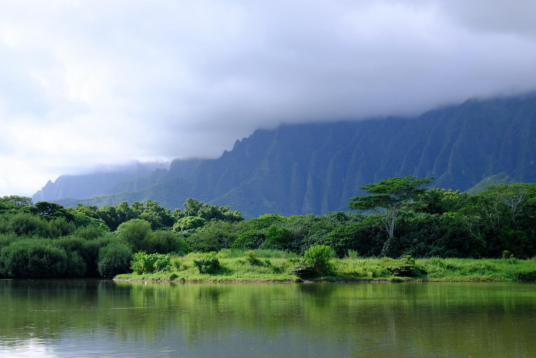 Noah Jigsaw Puzzle Ahuimanu Stream in Kahaluu, Oahu, Hawaii. Stream in foreground and Ko'olau mountains in the background. Surrounding landscape includes palm trees and tropical forest 2000 pieces