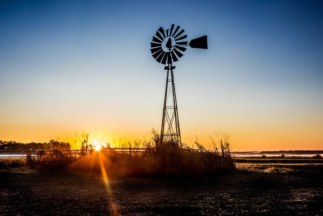 Noah Jigsaw Puzzle Aerial view of San Mateo Bridge, connecting the Peninsula and East Bay; residential areas of Foster City visible in the foreground ; San Francisco Bay Area, California 2000 pieces