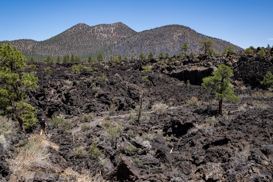 Noah Jigsaw Puzzle Lava flow in Sunset Crater Volcano National Monument near Flagstaff Arizona 2000 pieces