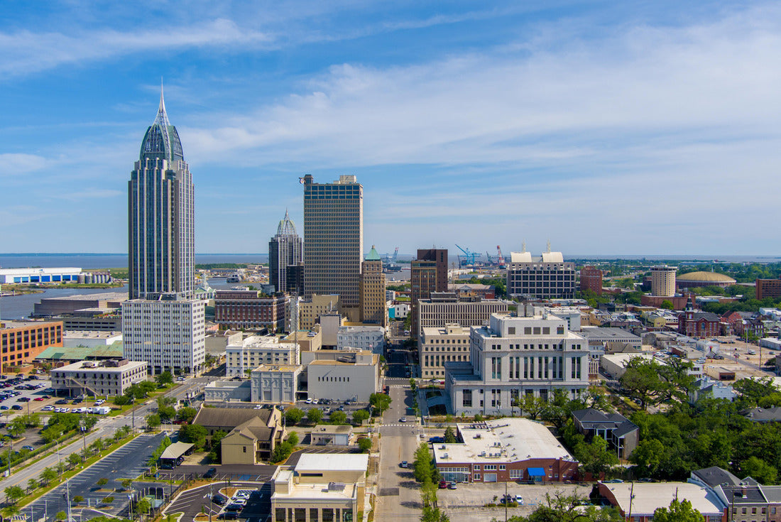 Noah Jigsaw Puzzle Downtown Mobile, Alabama skyline 2000 pieces