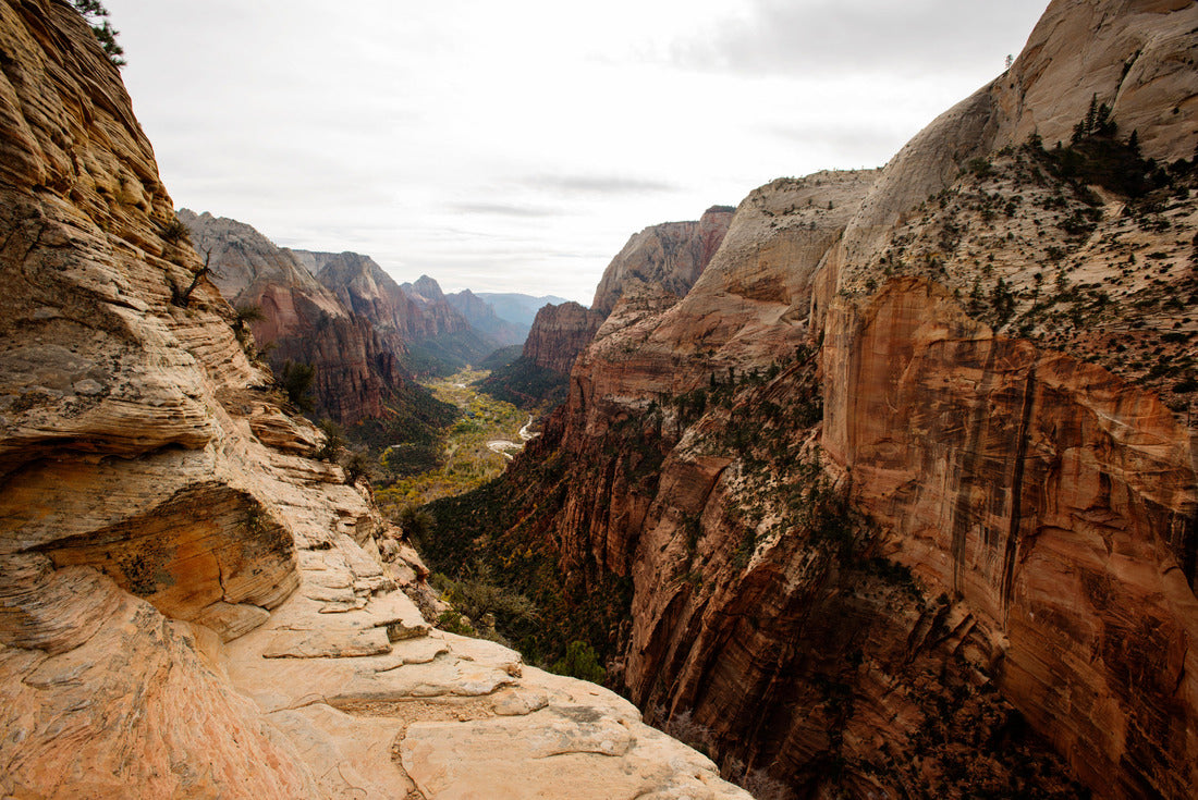 Rock formations, Zion National Park, Utah, USA 2000pc Puzzle