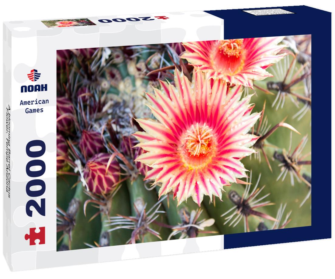 A blooming Barrel Cactus Flower, Tempe Arizona 2000pc Puzzle