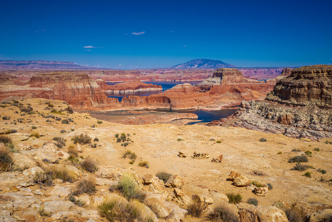Noah Jigsaw Puzzle View of Lake Powell from Alstrom Point in Utah 2000 pieces