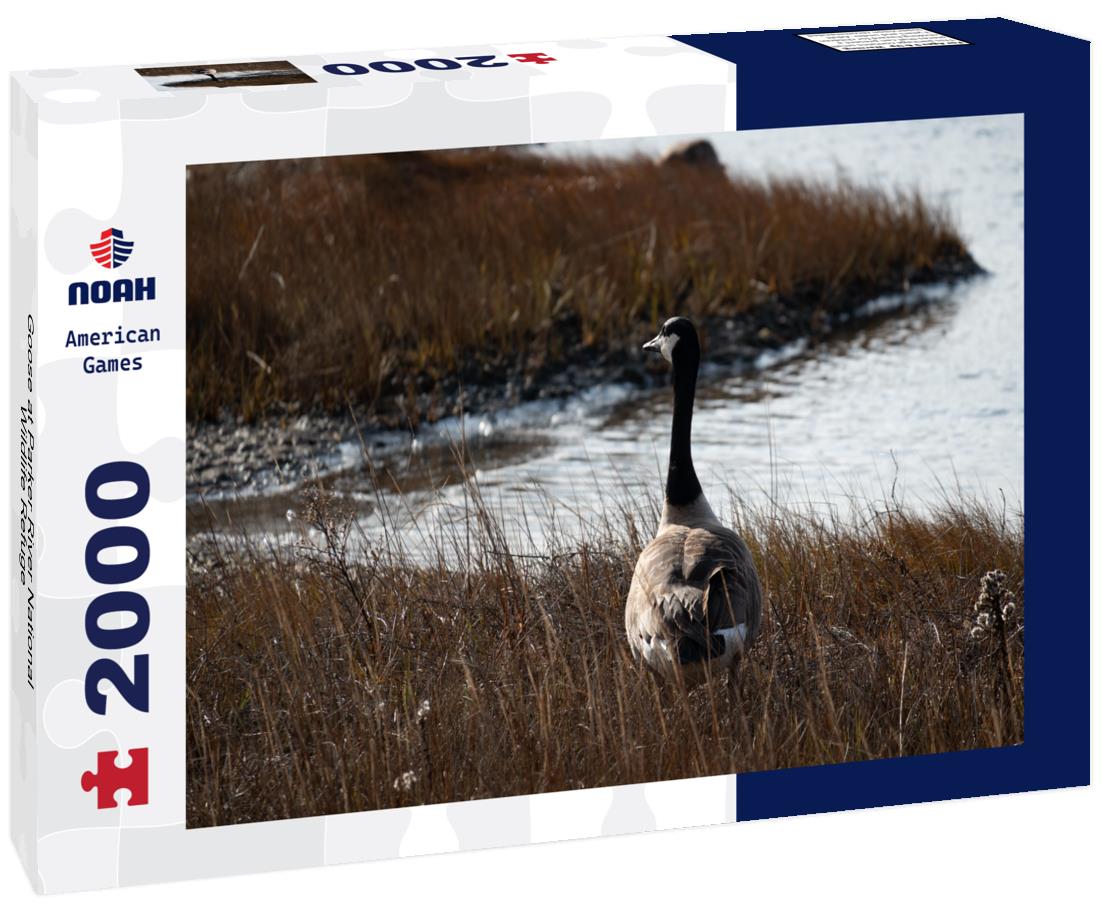 Goose at Parker River National Wildlife Refuge 2000pc Puzzle