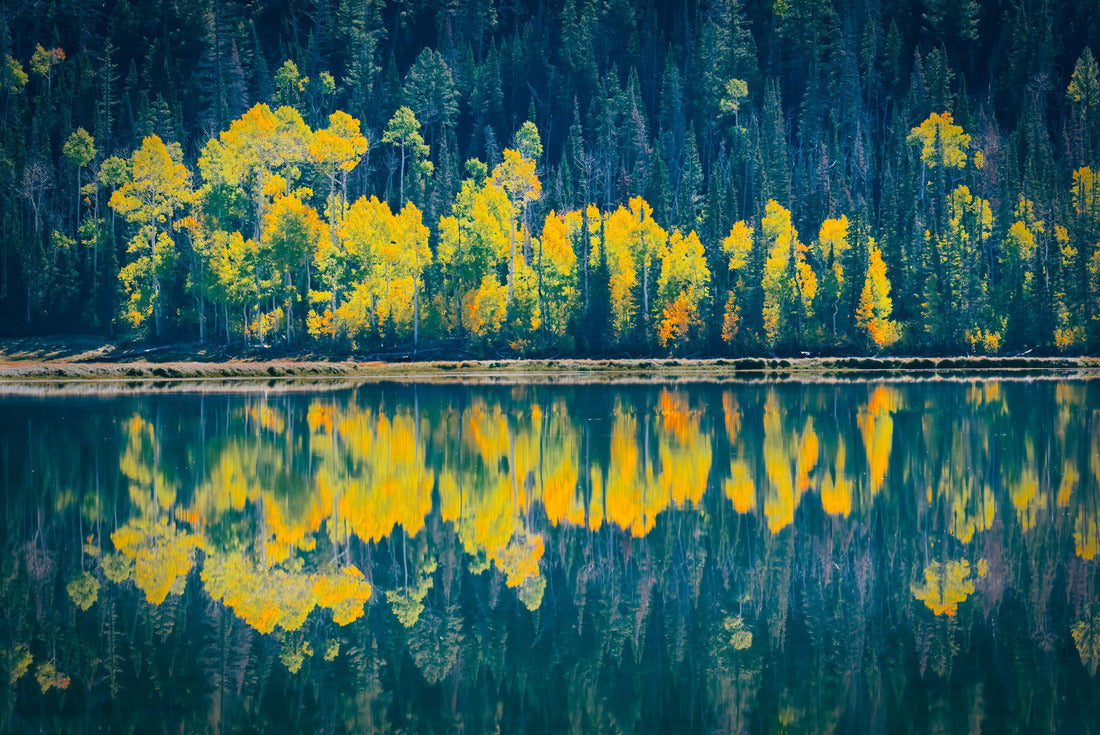 Noah Jigsaw Puzzle Autumn Colors at Fish Lake Near Richfield Utah 2000 pieces