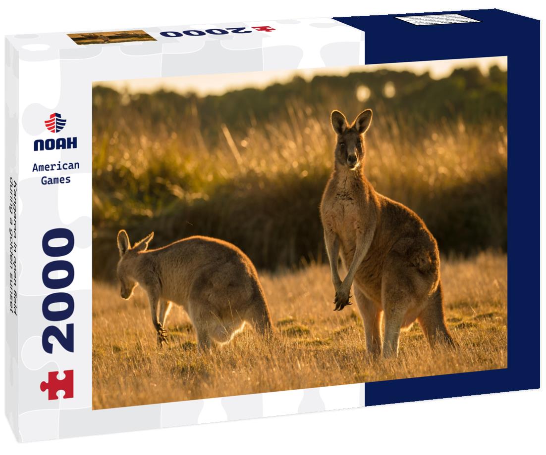 Kangaroo in open field during a golden sunset 2000pc Puzzle