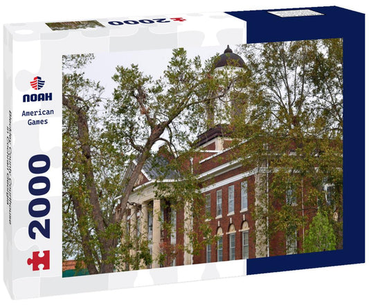 Noah Jigsaw Puzzle Bleckley County Courthouse in Cochran Georgia 2000 pieces