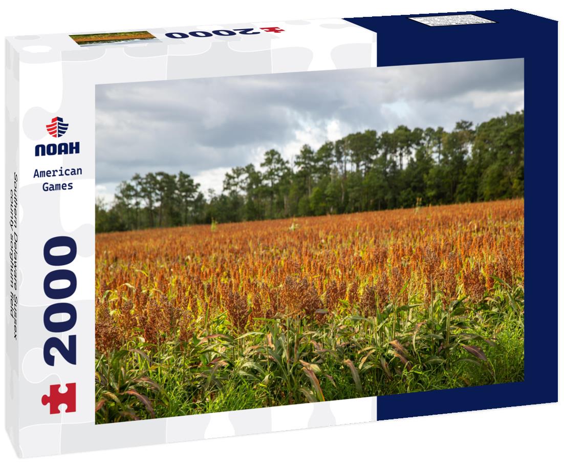 Southern Delaware Sussex county sorghum field 2000pc Puzzle