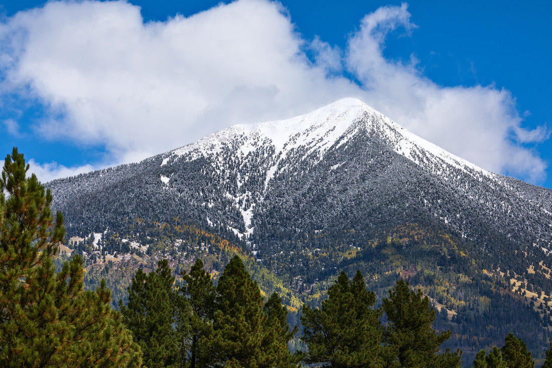 The San Francisco Peaks in Flagstaff, Arizona 2000pc Puzzle