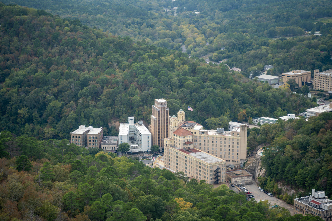 Noah Jigsaw Puzzle Forest in Hot Springs National Park, Arkansas 2000 pieces