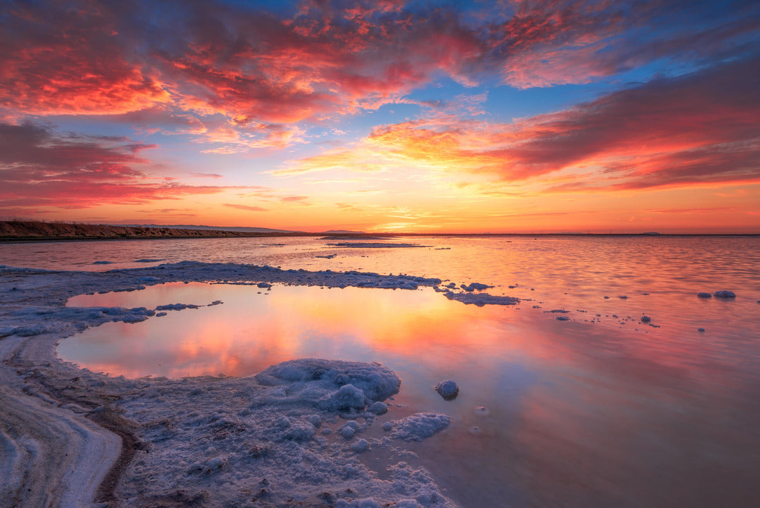 Noah Jigsaw Puzzle Mono Lake Sunrise, Eastern Sierra, California 2000 pieces