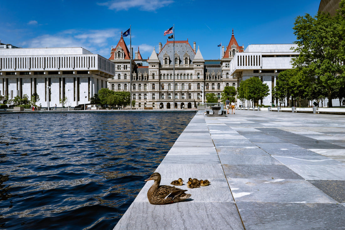 Ducks at the New York State Capitol in Albany 2000pc Puzzle